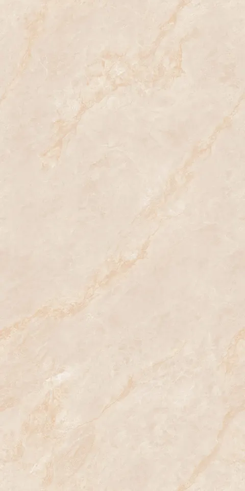INDO BEIGE SILK view 4
